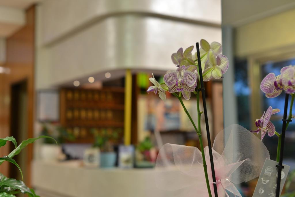 Hotel Marselli ريميني المظهر الخارجي الصورة